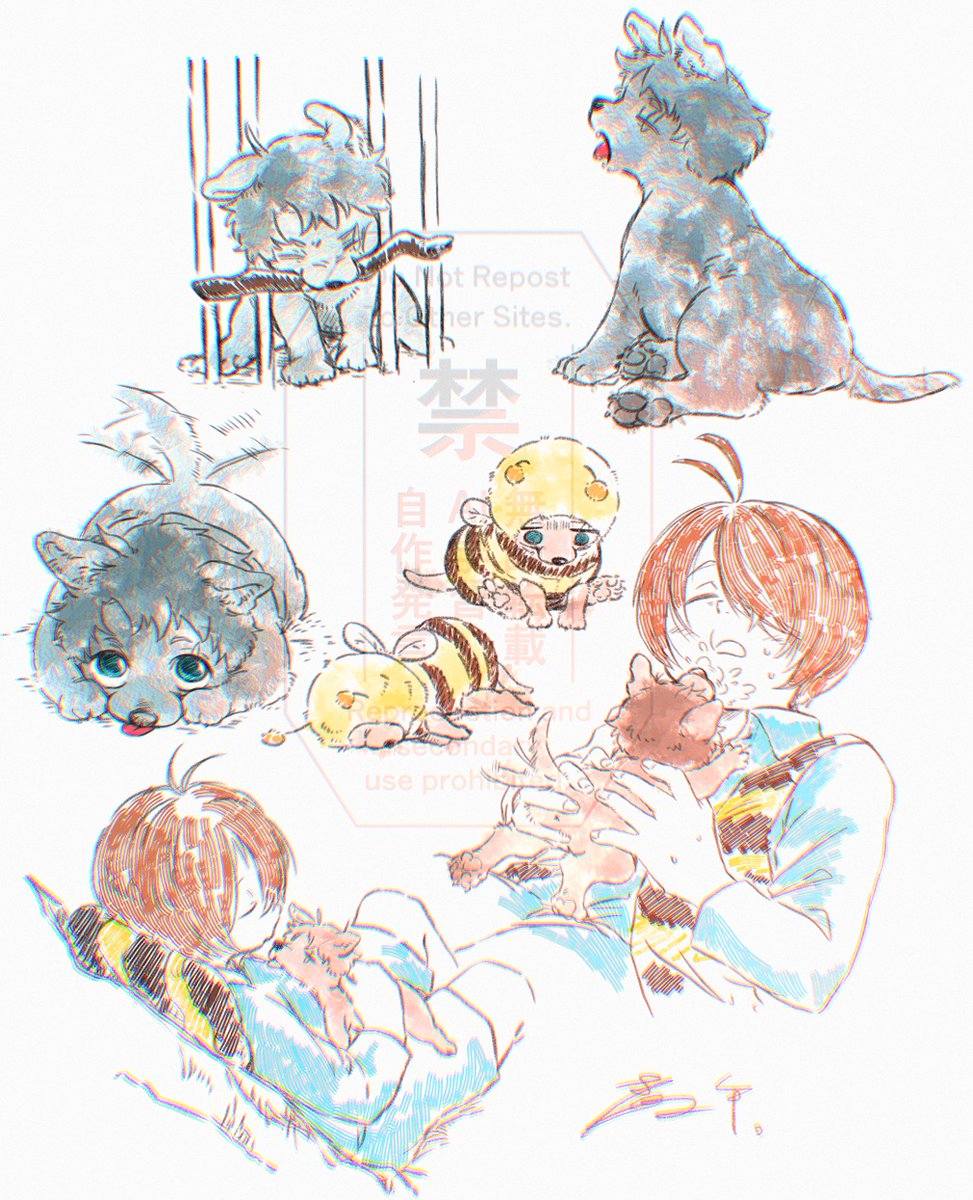 煮午。 tweet media