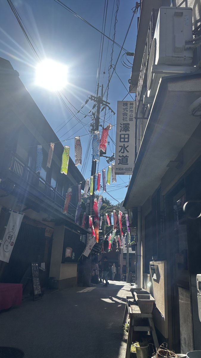 JulyTomomi5's tweet photo. 可愛い🎏 https://t.co/8uToo9eTBP