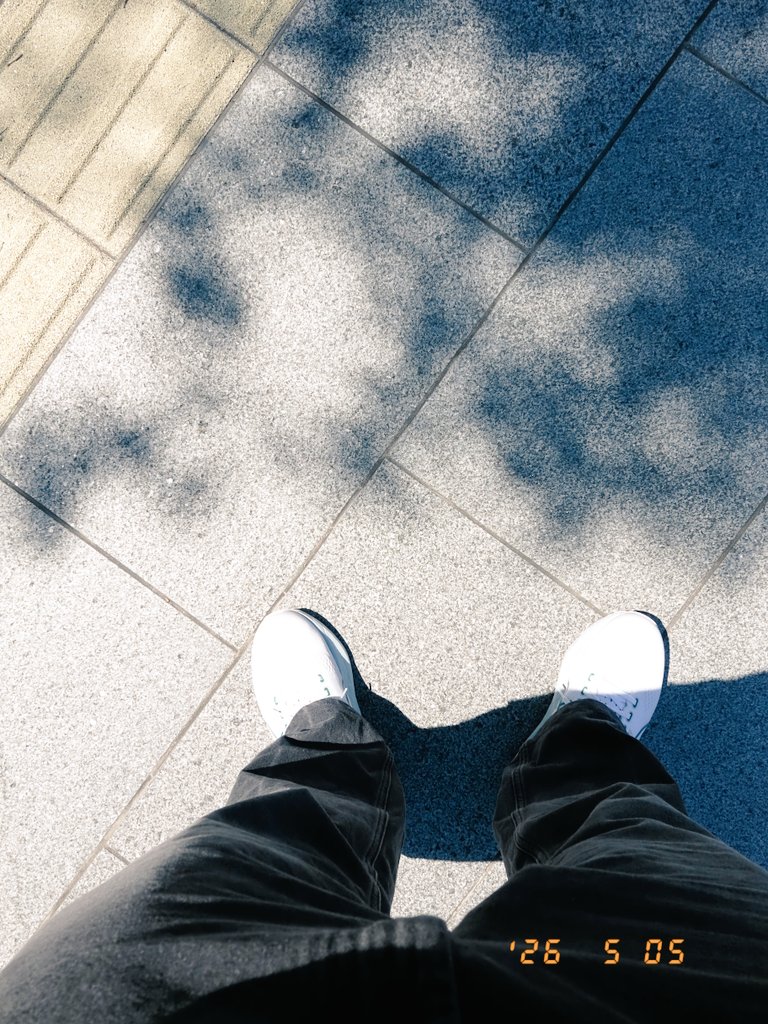 木漏れ日と足もと