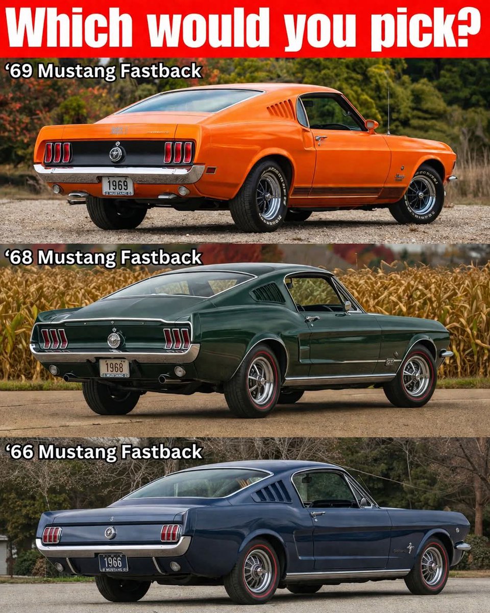 Vintage Cars Collection tweet media
