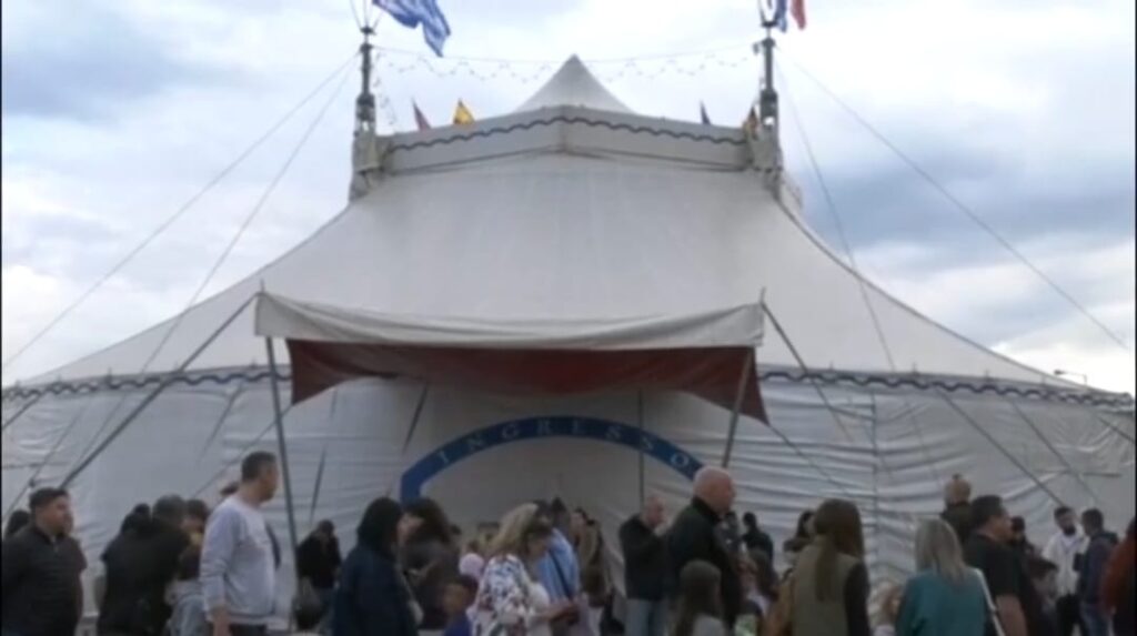 circusfans_ita's tweet image. 𝗜𝗟 𝗡𝗨𝗢𝗩𝗢 𝗖𝗜𝗥𝗖𝗢 𝗠𝗨𝗡𝗗𝗜𝗔𝗟
Alcune immagini dello spettacolo del nuovo Circus Mundial della famiglia...
#circo #circomundial #greece🇬🇷 #newsarticle #circusfans #circusfansitalia