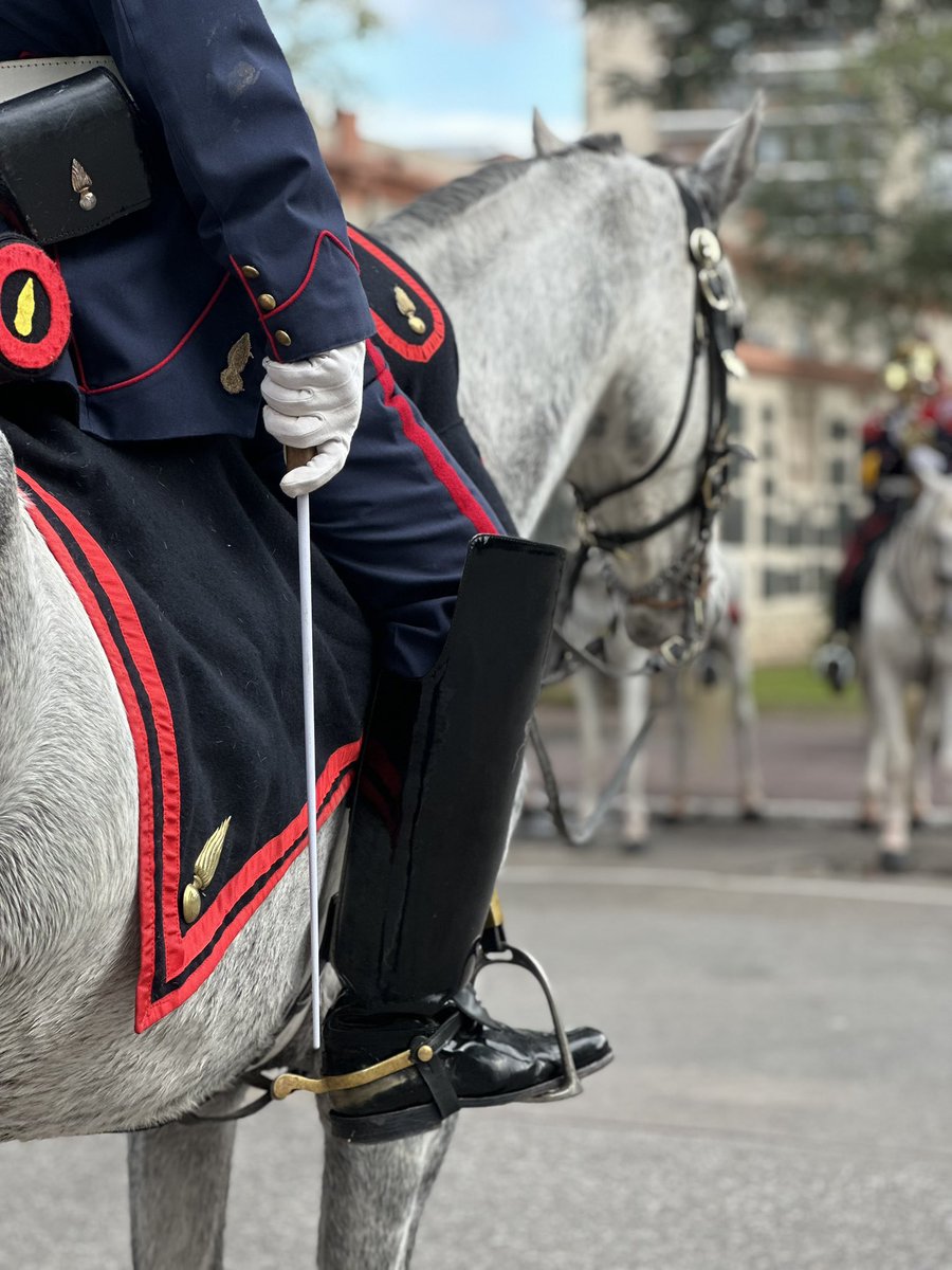Granaderos a Caballo tweet media