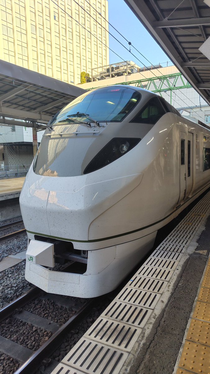 ひでぇ〜🦨💨だてSATONOは「無事運行終了」💚🩵 tweet media