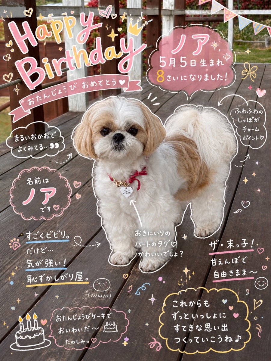 ゆかいな4姉妹🐶とパパ🧑🏻‍🌾 tweet media