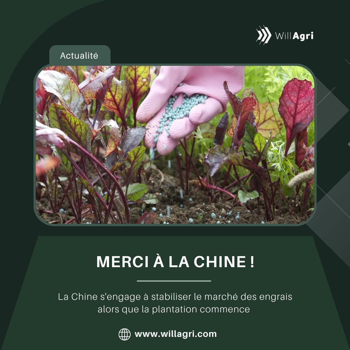 WillAgri tweet media