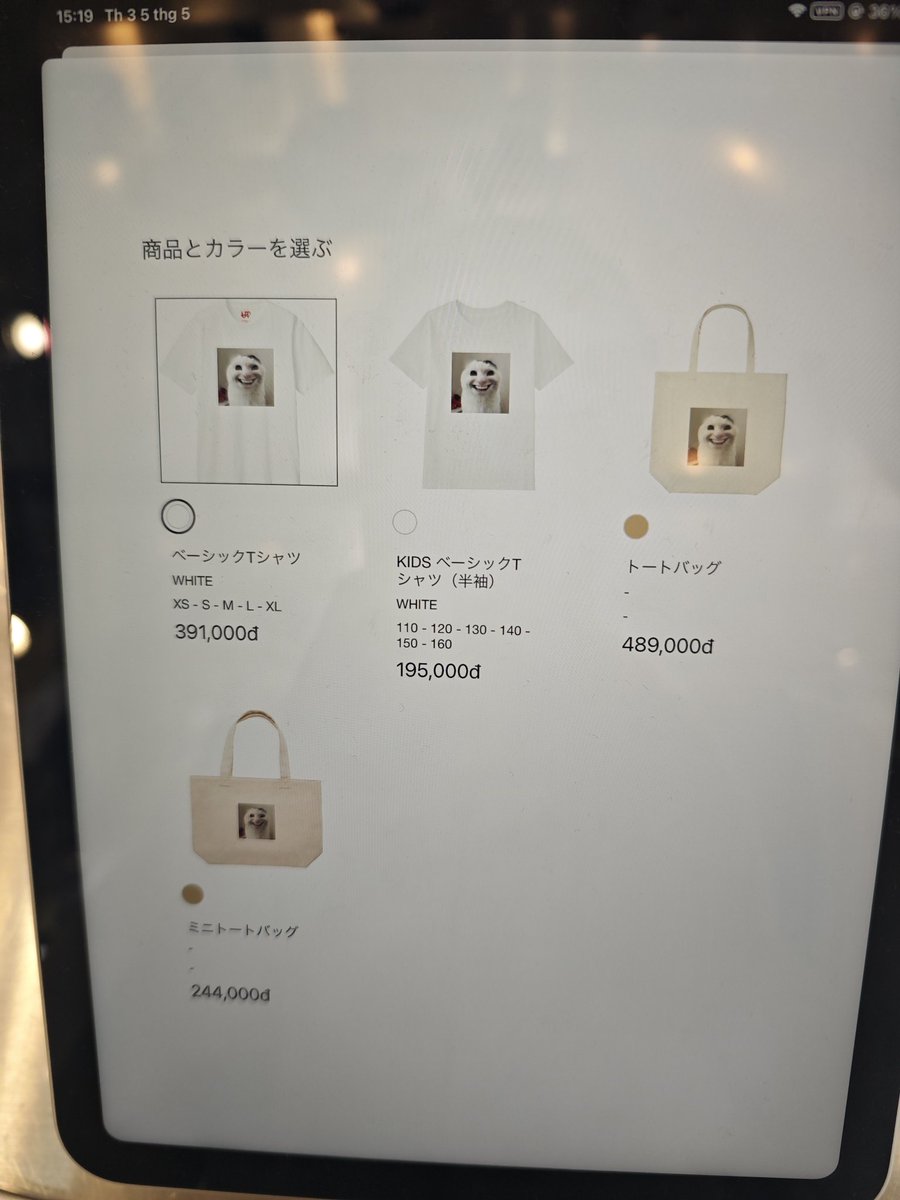 红尘飞 tweet media