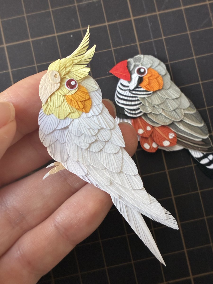 X0USBETRGbee3bF's tweet photo. オカメ　赤目ルチノー🐥デフォルメ
冠羽を少しもふもふにしたから額装限定かな？
minneお試し販売用 https://t.co/A0DsbwW2zO