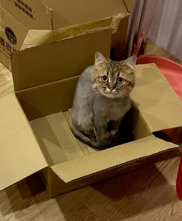 guyroland06's tweet image. Unboxed my package!  Fresh skincare haul—glowing skin on the way. What’s your latest unboxing win #Unboxing #SkincareFind