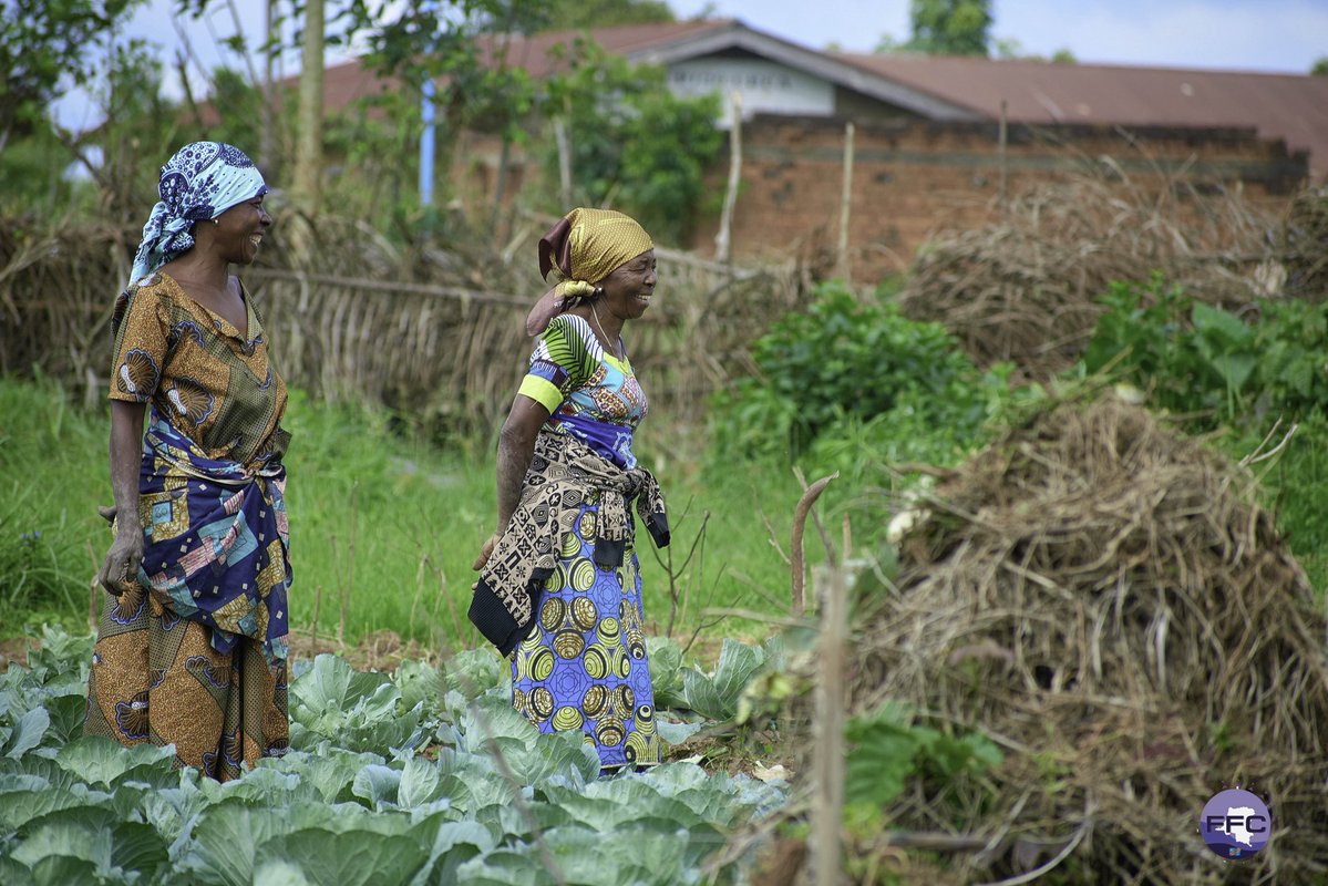Fonds pour les Femmes Congolaises - FFC tweet media