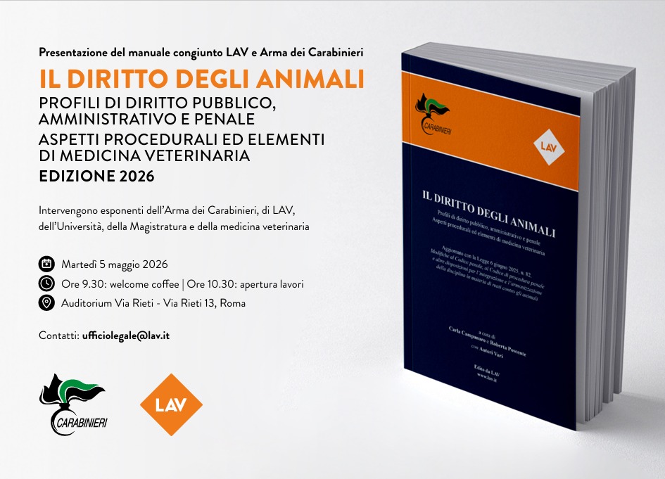 LAV_Italia's tweet photo. Si aprono i lavori per la prima presentazione a Roma del manuale congiunto tra #LAV e @_Carabinieri_ "Il diritto degli animali" perché è sempre più necessario occuparsi degli animali, dal diritto pubblico e penale alla medicina veterinaria 👇 https://t.co/wLpvpfhGHT