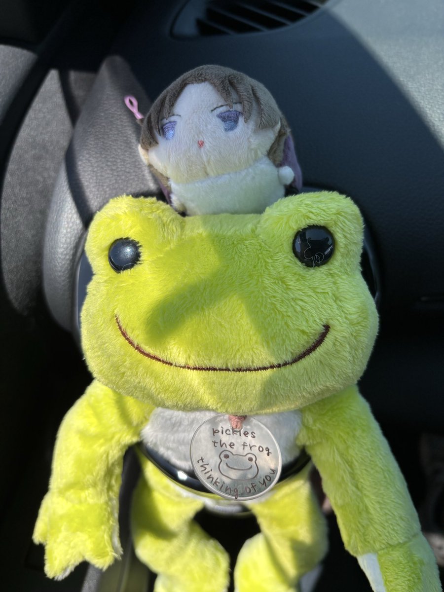 torimasonomama's tweet photo. 友達の🐸がかわいかったので https://t.co/7ERKhmlPvc