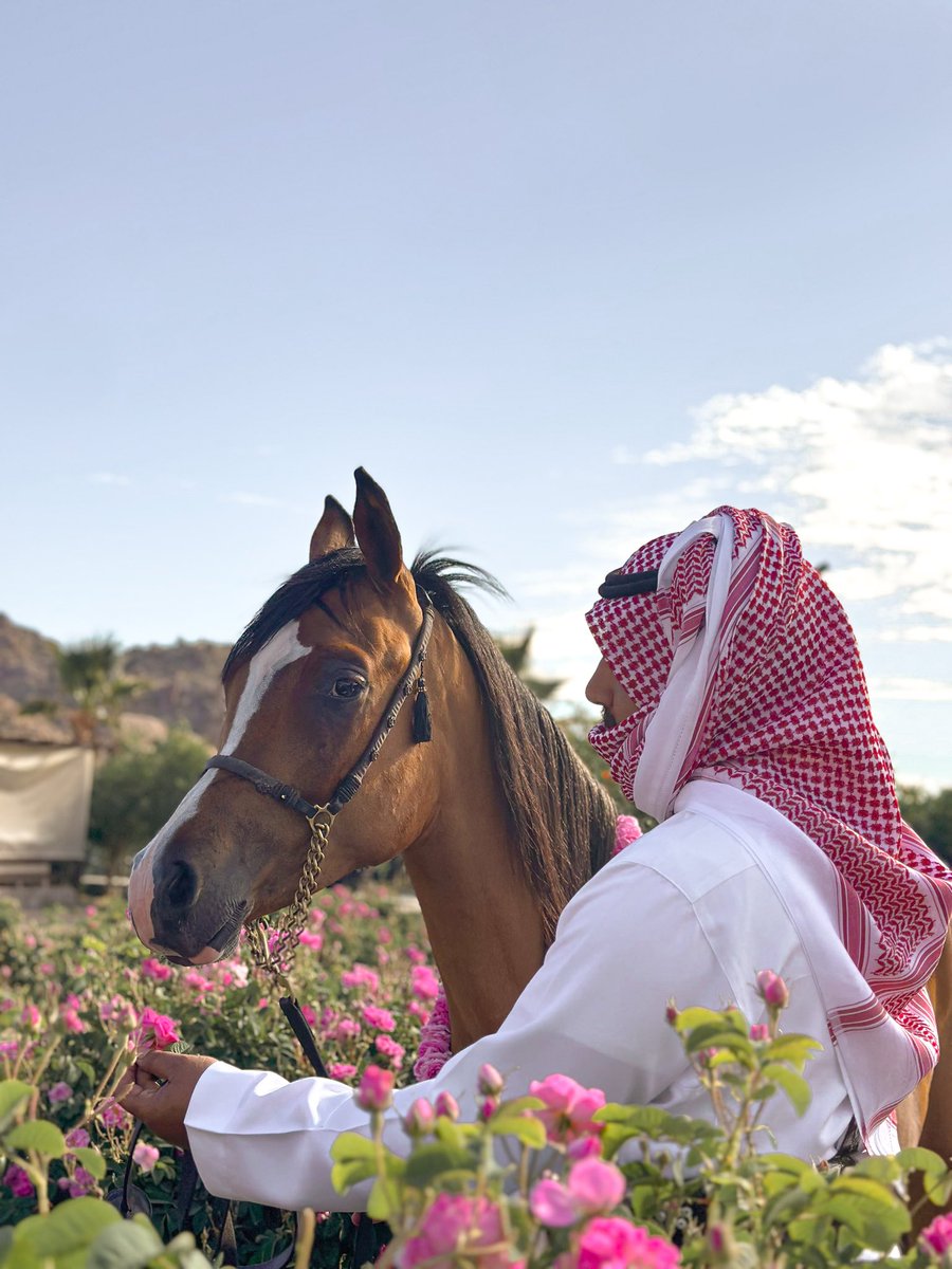 i23tp's tweet photo. تفوتني مشاهدة العالم بطريقة عادية ، لطالما بحثت عن الجوانب الشاعريّة في كل الأشياء. https://t.co/BbKODZJKMJ