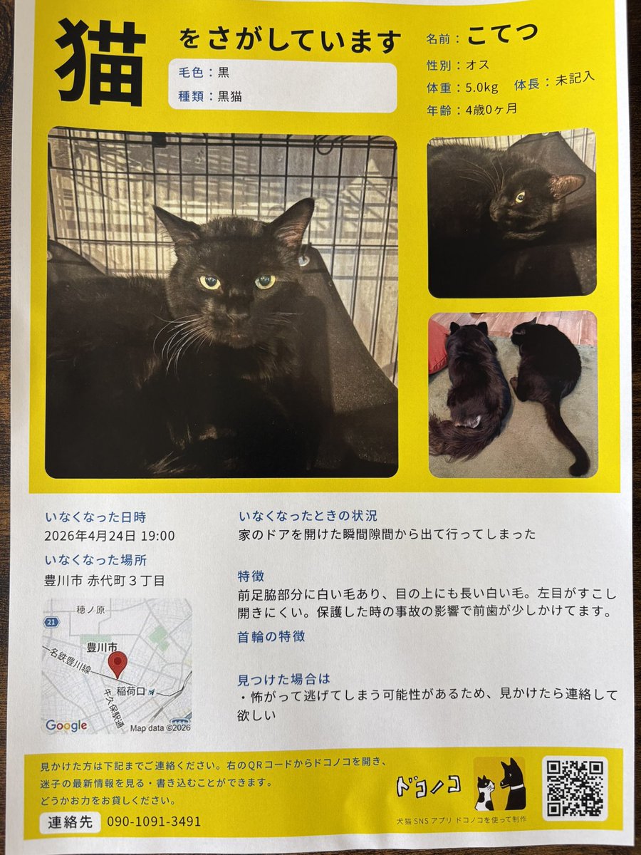 【迷子猫探してます】
4/24に愛知県豊川市赤代町で迷子になった猫を探しています。
少しでも心当たりのある方はご連絡をお願いします🙇‍♂️

お近くの方、気にかけていただけると有難いです。
#迷子猫 #愛知県 #豊川市