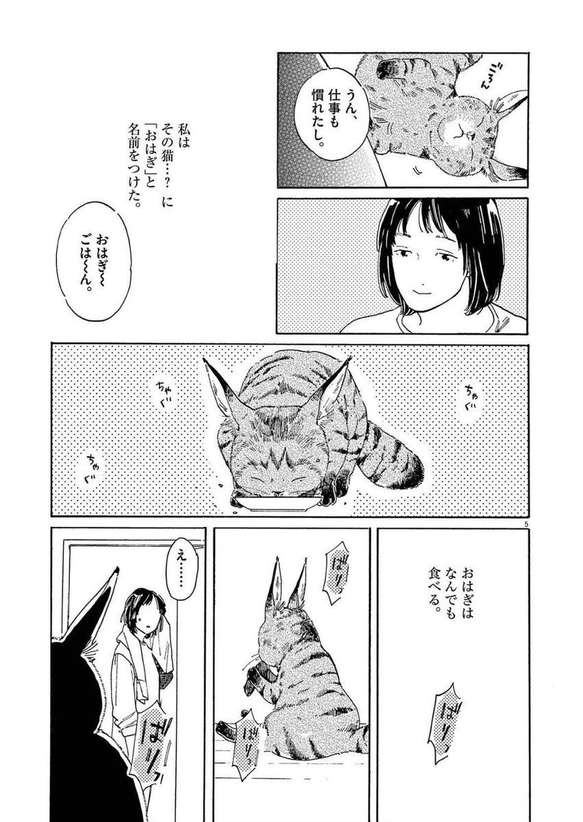 (2/6) 