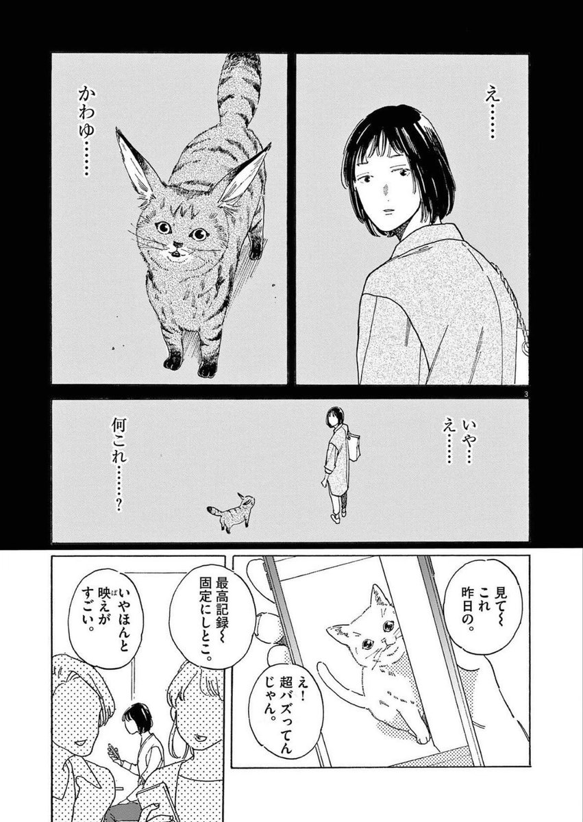 (2/6) 