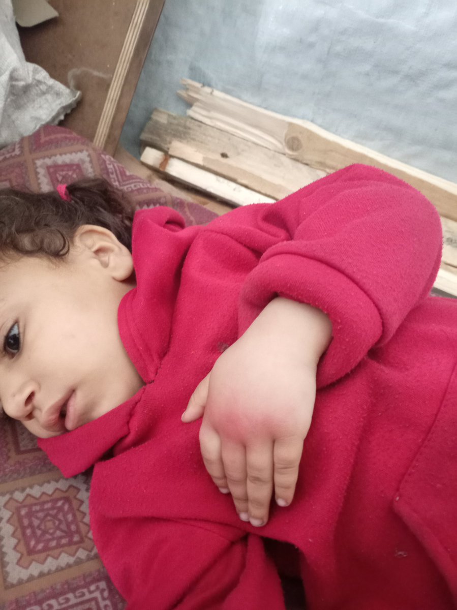 Dalula in Gaza tweet media