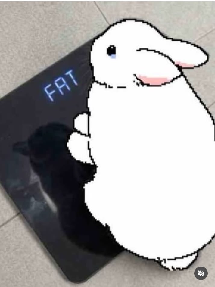 Why you should have a rabbit tweet media