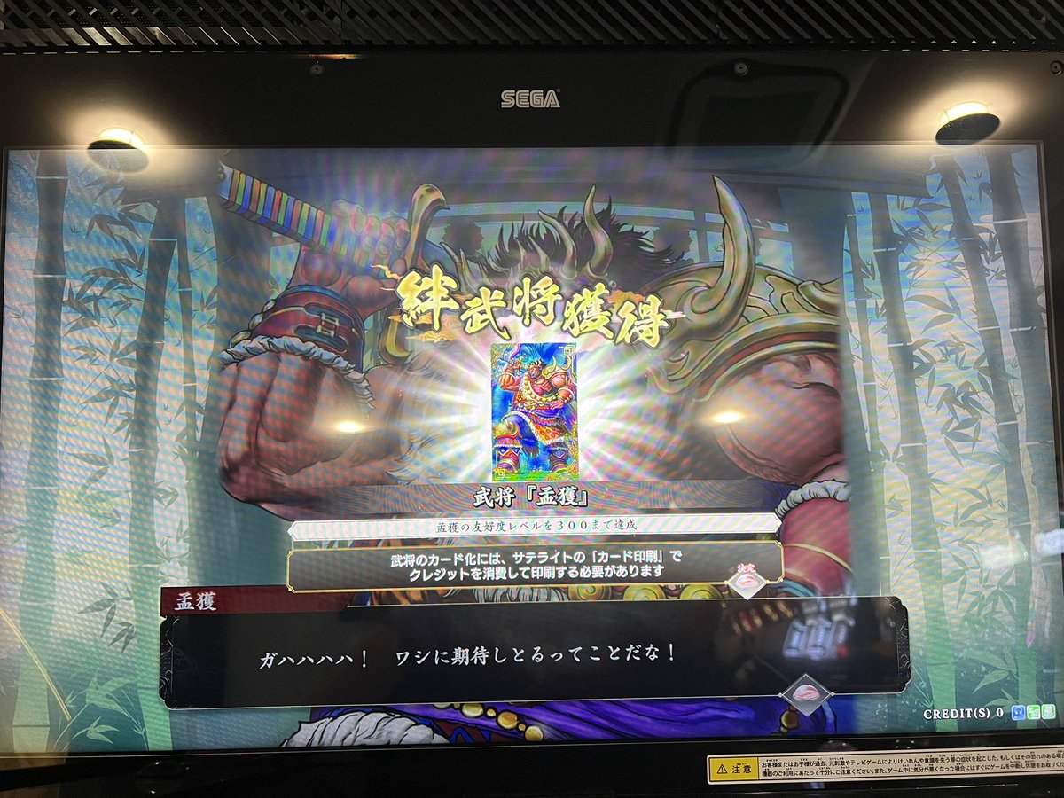 ひげだるま tweet media