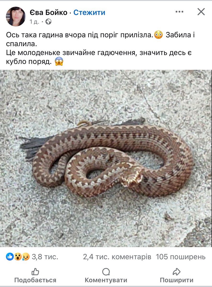 сьогодні tweet media