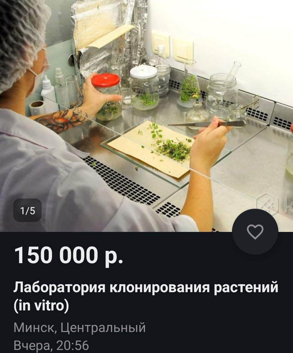 Out of Context K***r tweet media