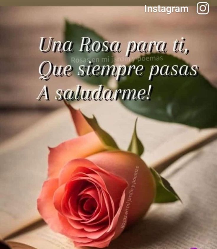 ❀○∘˚👑˳°○ Dita 💙❀ tweet media