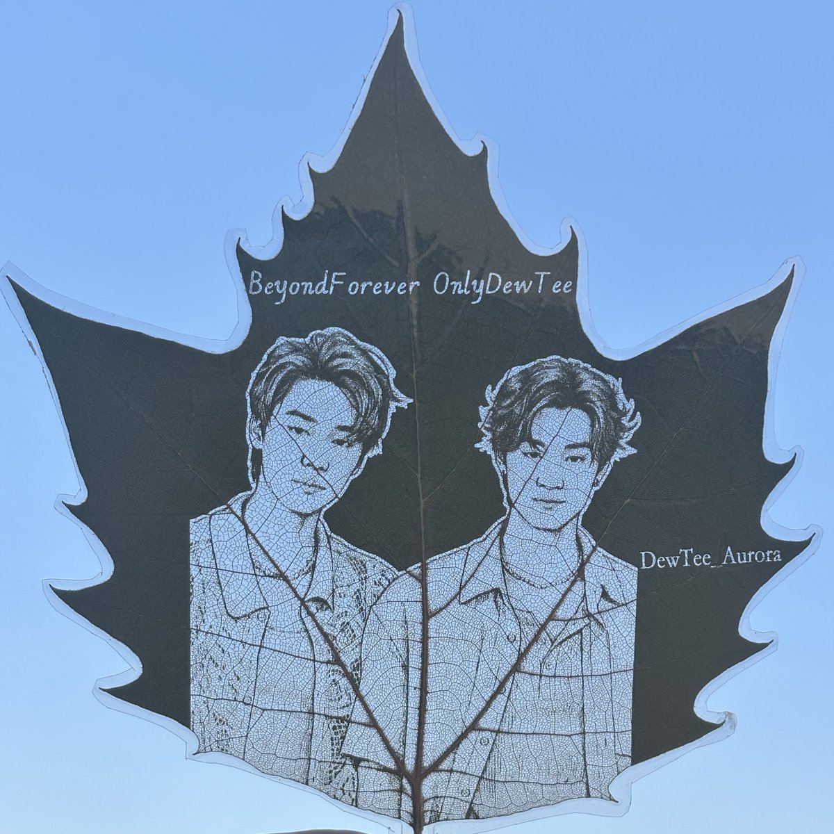 clx1126's tweet photo. First try at leaf carving, a success.🤎🩵
#dewtee #dew_jsu #tee_vtp https://t.co/AVDicpuAaq