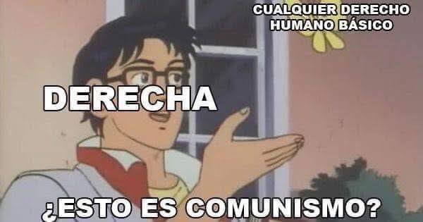 Juanita Mayorga 🇵🇸 tweet media