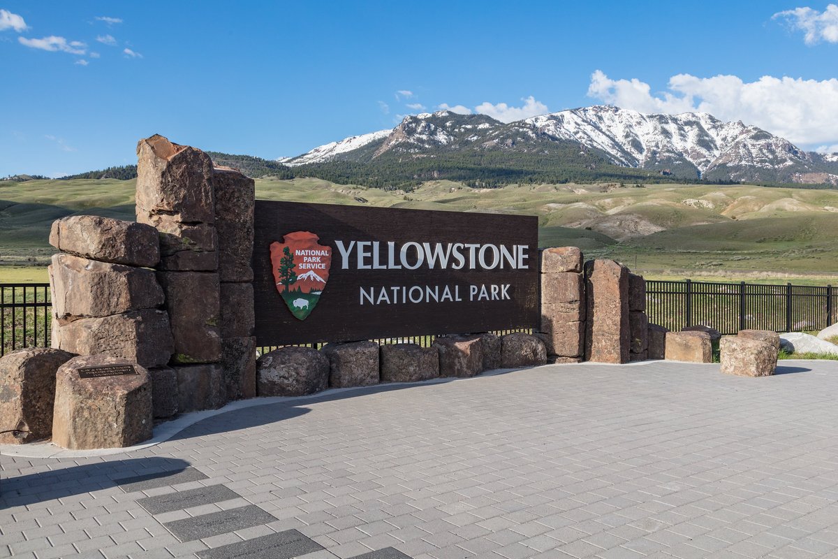 Yellowstone National Park tweet media