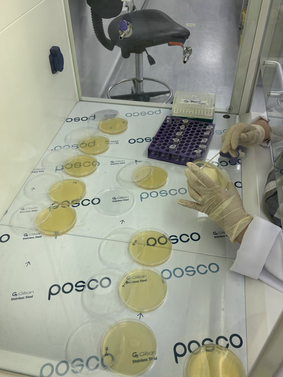 R0ta17's tweet photo. "The award was just the start. We’re still in the lab validating Matcha’s in vitro efficacy. Almost all our results are statistically significant. We are currently working on the final experiment to ensure its accuracy.
Poster is done! Stay tuned for the thesis soon! ان شاءالله🥳 https://t.co/bjHoojcmKF