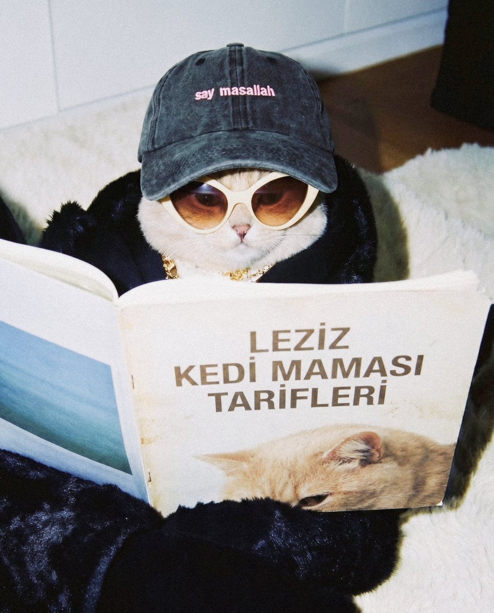 hatclo tweet media