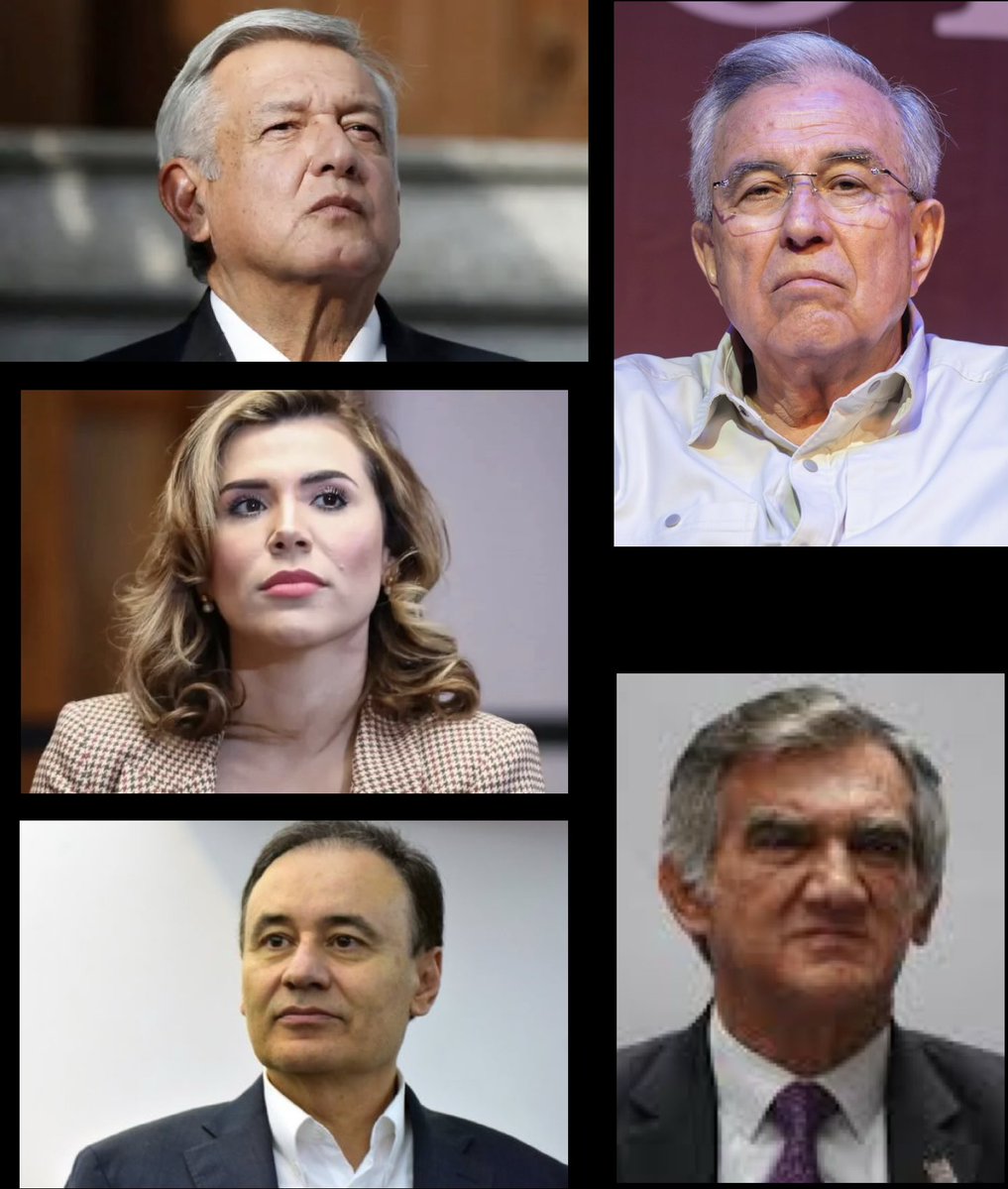 Ale𝕏 tweet media