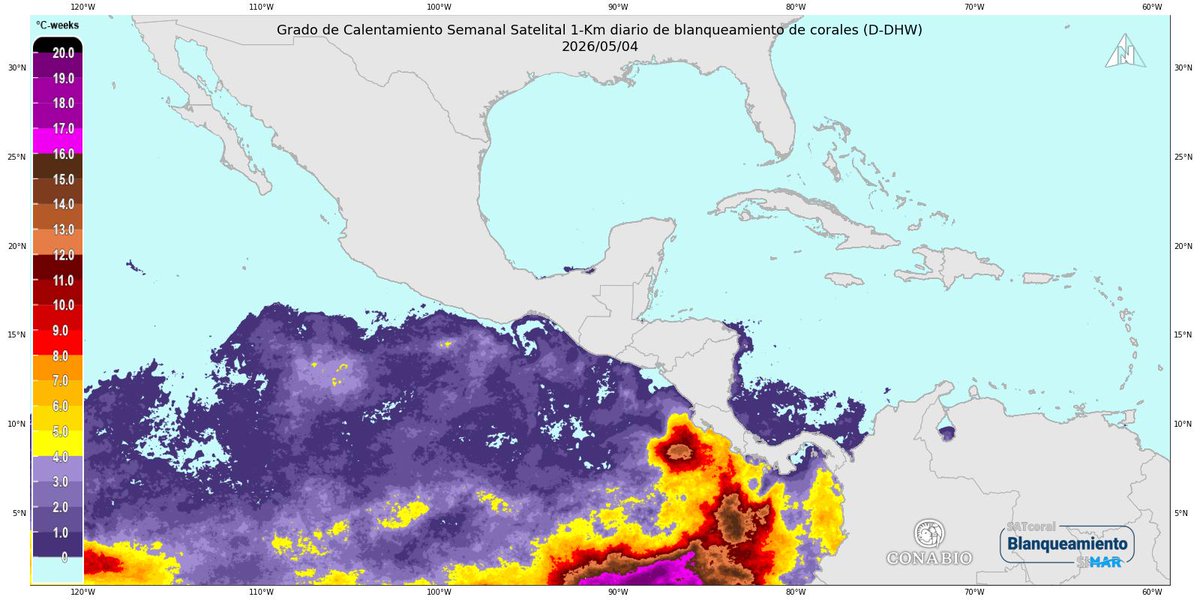SIMARConabio's tweet photo. SATcoral: Satellite-based Early Warning System for Coral Bleaching 1-km by SIMAR-Conabio

📅 Daily report: 2026-05-04

🔗 Explore SATcoral-SIMAR: https://t.co/5H0xGQkO9j
https://t.co/9VFTz420NO

#Coral #Bleaching #Conabio https://t.co/WDFMTPVjwP