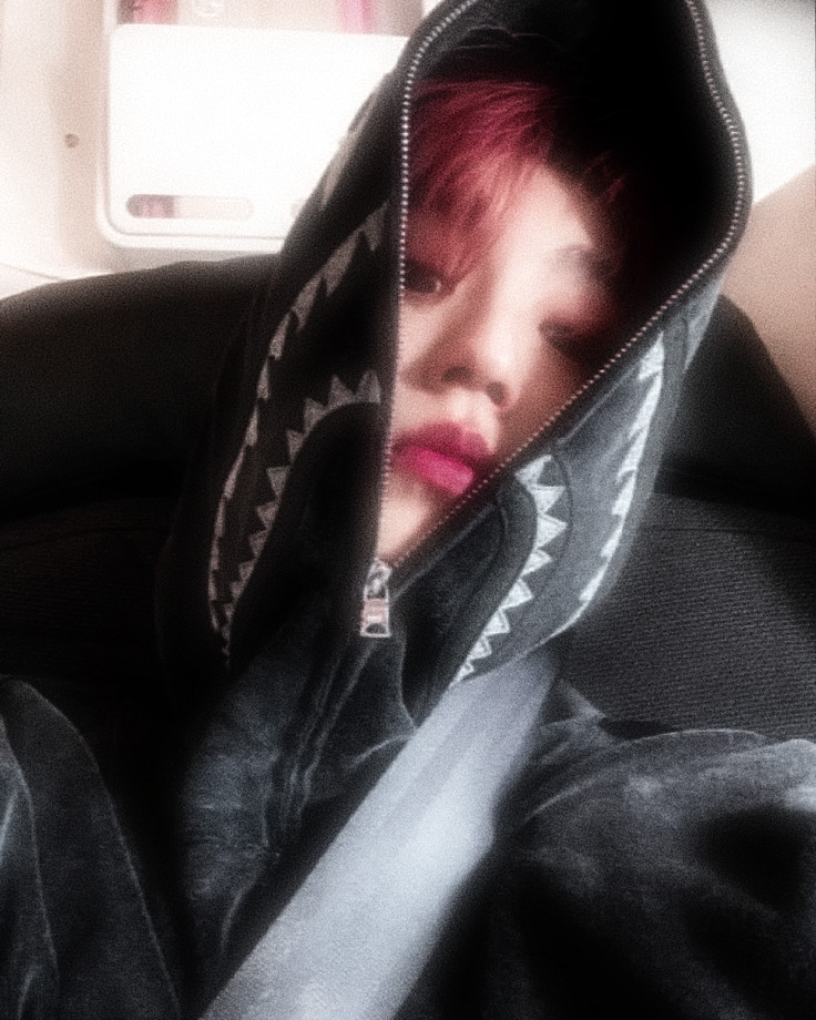 𝓟ᥱtᥱr. tweet media