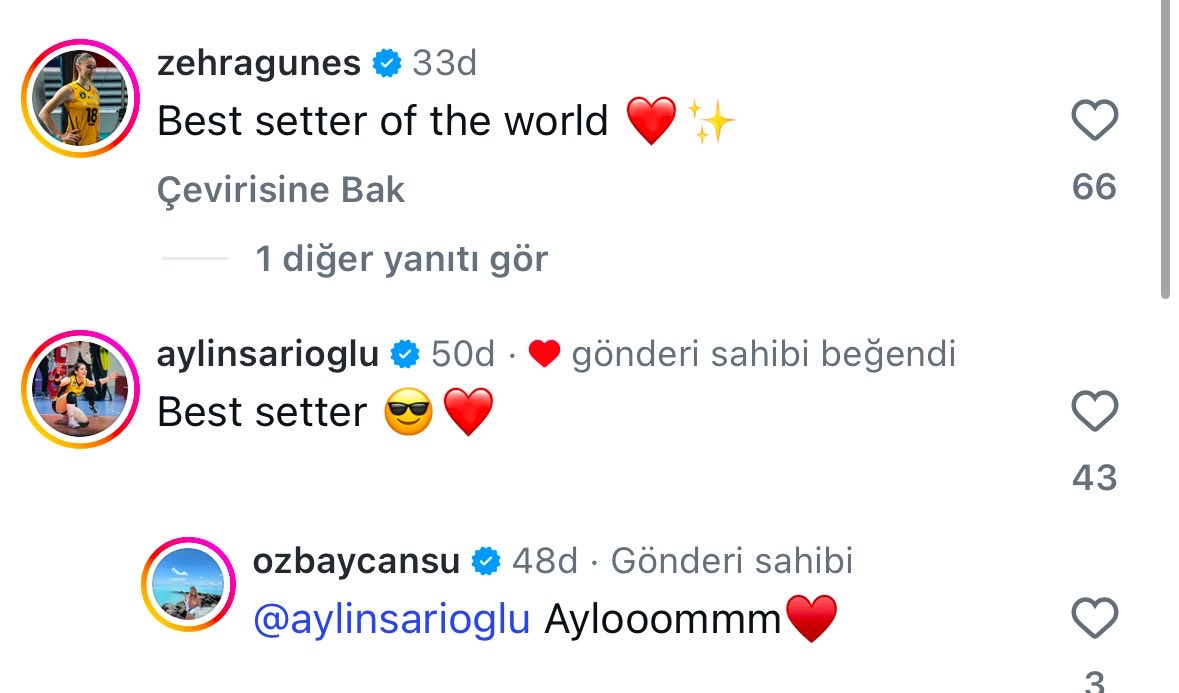 Voleybol Plus tweet media