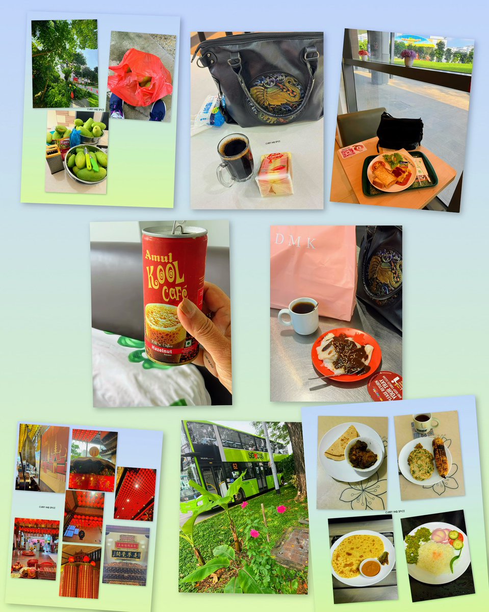 Somasray's tweet image. A mango tree got trimmed, I got home bags full! It isn’t okay to chop off fruit bearing trees! Temple visits keep me calm but it’s not a sane person’s food choices, you see! I can’t survive on healthy food alone! I try to follow less oil, less salt, less sugar rule! #food