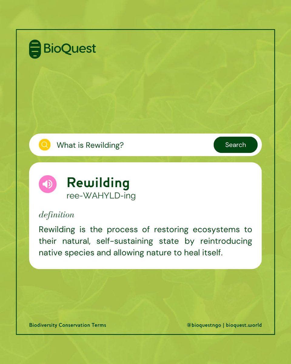 BioQuestNGO's tweet photo. What is rewilding?

Rewilding means bringing ecosystems back to life by reintroducing native species and letting nature take the lead. It’s all about restoring balance and biodiversity.

Let’s work together to protect and restore our planet. 🌍

#Rewilding #Conservation https://t.co/lBvBzUk3PH