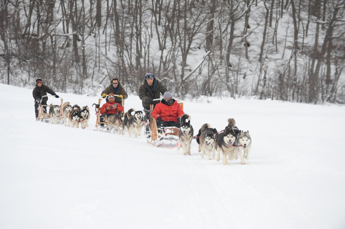 grayfoxtours's tweet photo. Descubre Aventura Blanca en Ushuaia: 5 horas de huskies, trineo, motos de nieve y chocolate caliente. Pick-up en hotel a las 08:30. Ideal para toda la familia. Reserva acá: https://t.co/pPQXwcDIZL #AventuraBlanca #Ushuaia #Nieve #HuskyPark https://t.co/jsHvDn1ws5