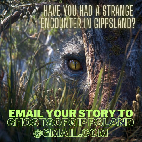 Ghosts Of Gippsland tweet media