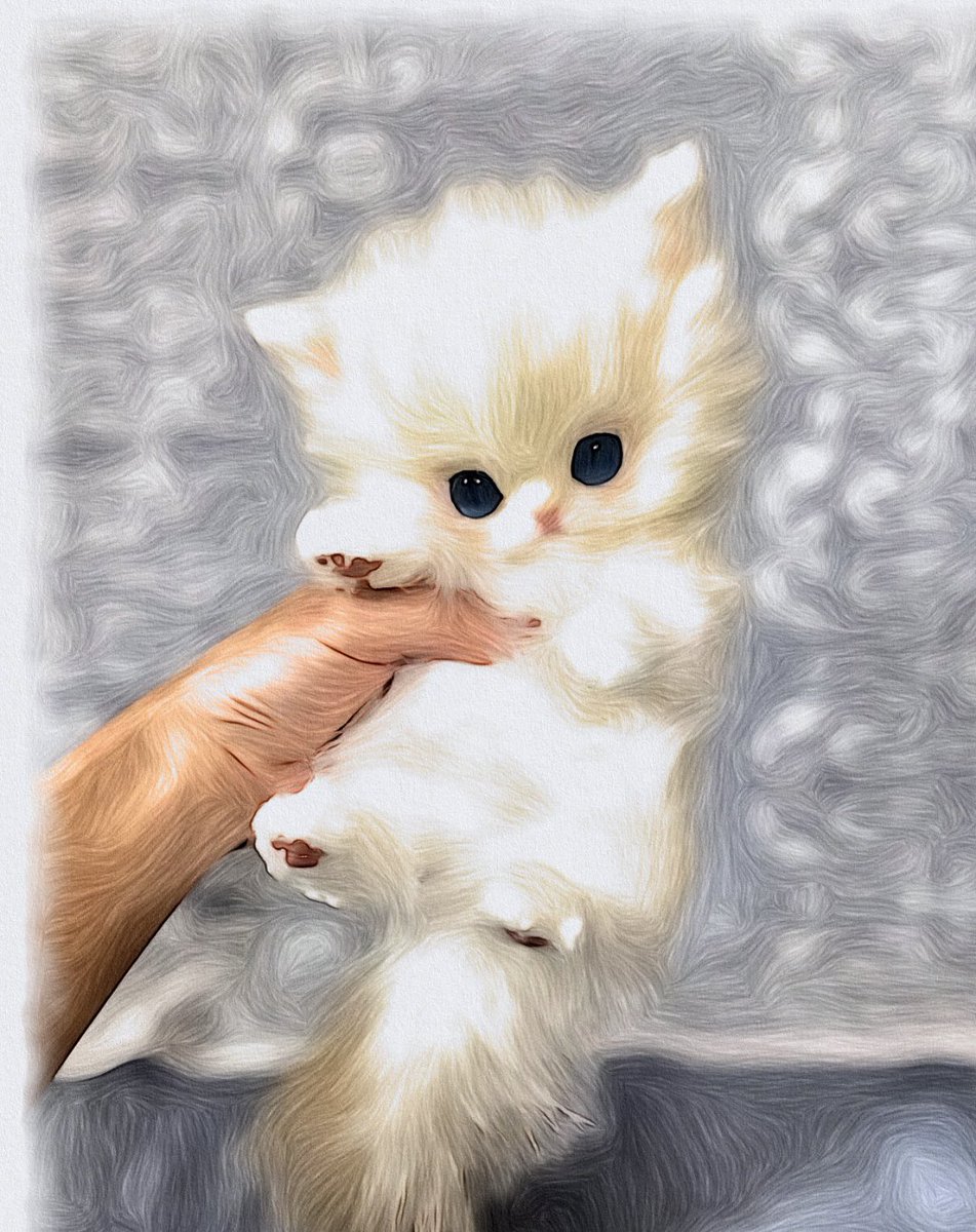 Minou（ミヌー） tweet media