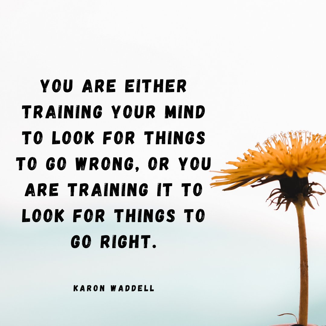 DanicaDreamer's tweet photo. Happy Tuesday! #TuesdayTraining #trainyourmind #focusonthepositive #lessonslearned #beoptimistic #perspectiveiseverything #learnandgrow #positiveliving #danicadreamer https://t.co/0fjgSxXcIi