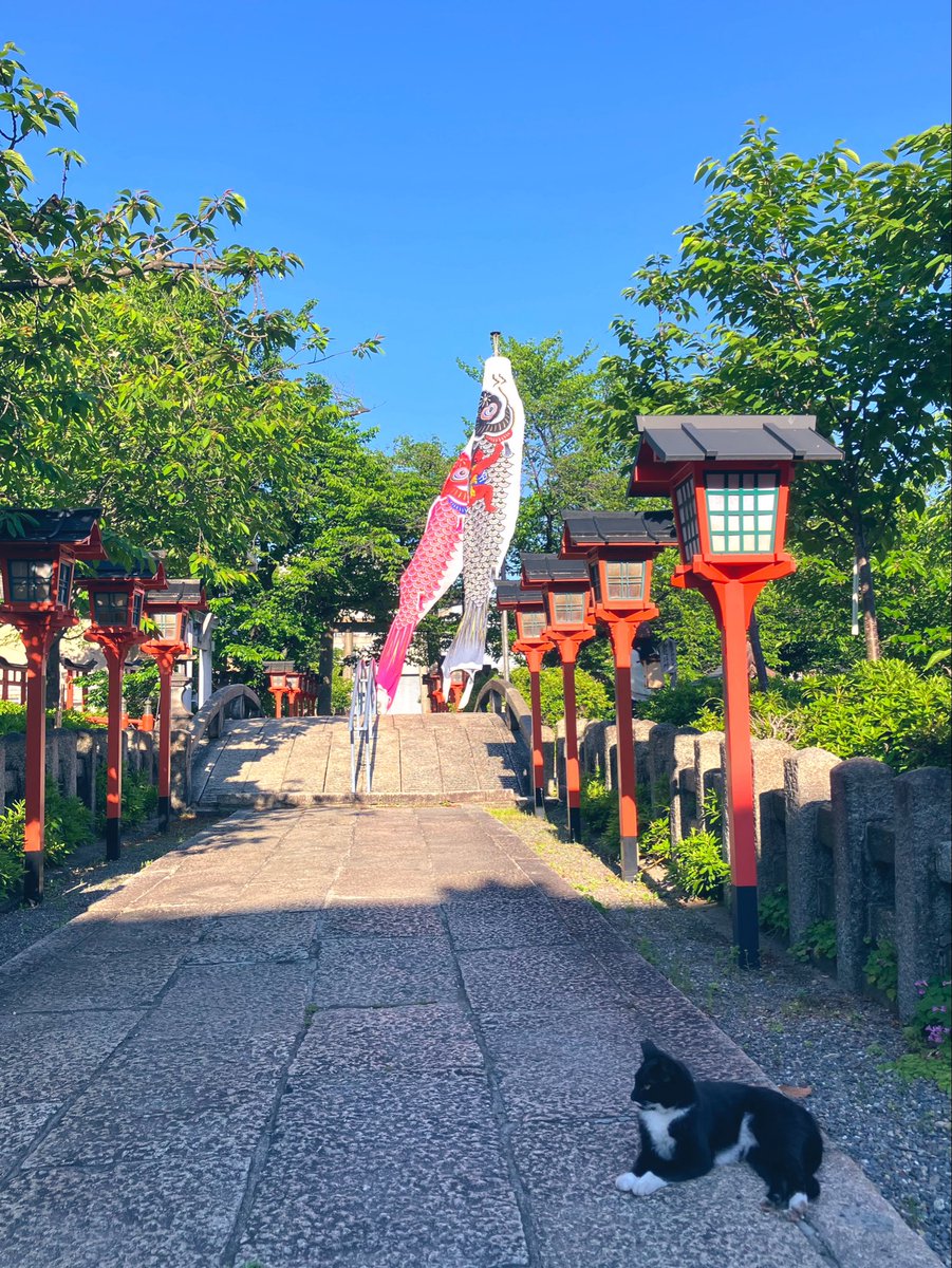 六孫王神社 tweet media