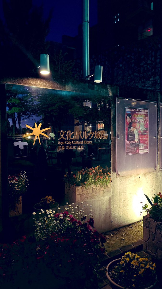 ピコ tweet media