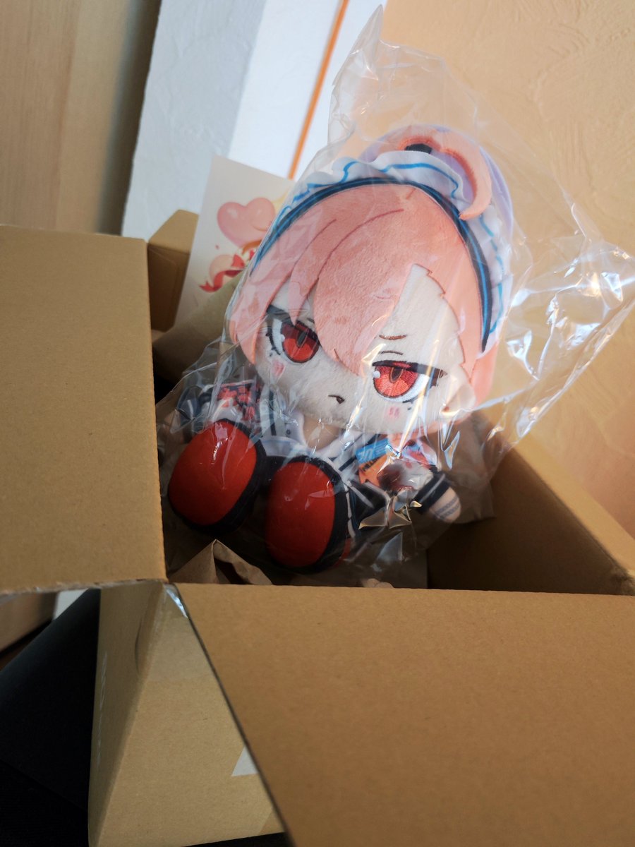 Nuramoon's tweet photo. The parcel took a littl longer, but now she has arrived. https://t.co/agooTLkkZr