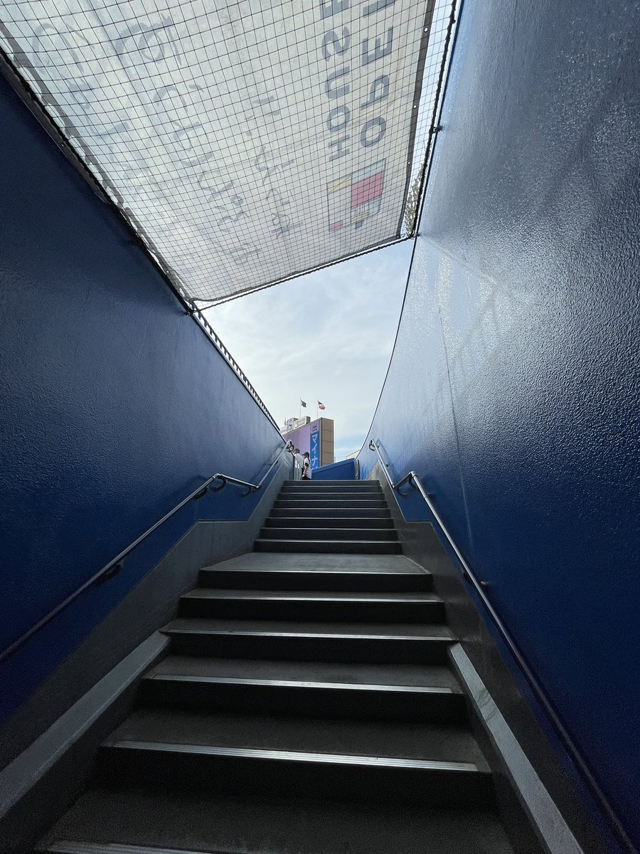 shuncheledeshi3's tweet photo. ライトから真ん中からのこの階段が1番楽しみな風景
一直線に見えるスワローズの旗もしゃれてる #ここが好きです神宮球場みた人もやる https://t.co/SyJKY4O2KQ