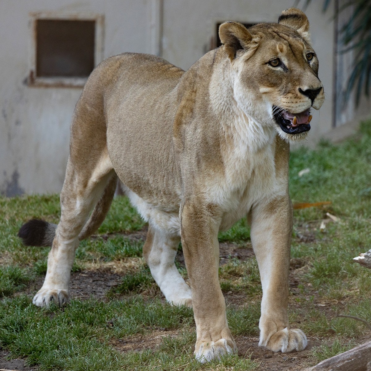 National Zoo tweet media