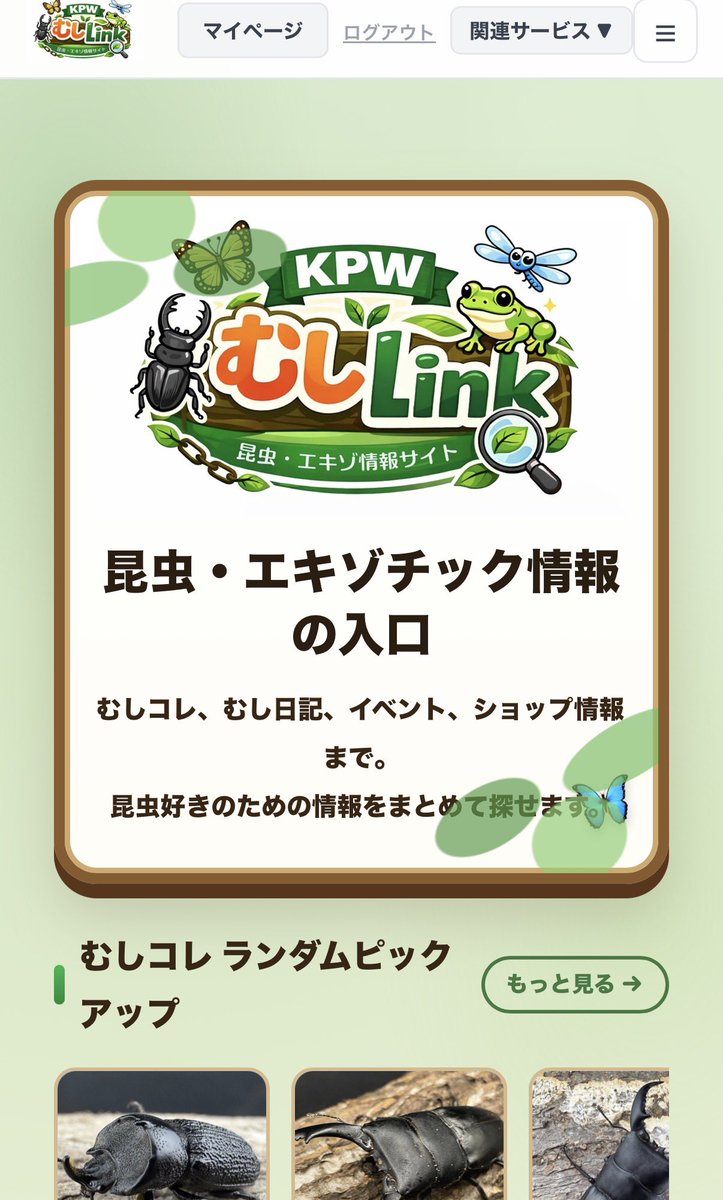 KPWむしLink|昆虫情報・ブリードログ・むし図鑑・ExoLink tweet media