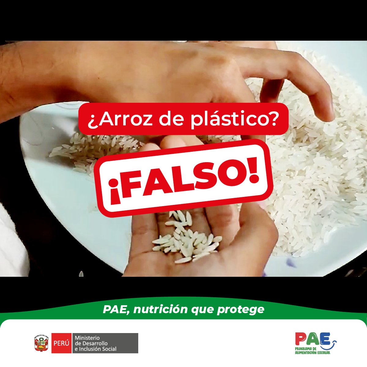 MidisPAE's tweet photo. 🍚 El arroz fortificado aporta nutrientes esenciales en la alimentación escolar.

💛 #PAE #Midis #NutriciónQueProtege
#AlimentaciónEscolar https://t.co/6XfXIKFQMF