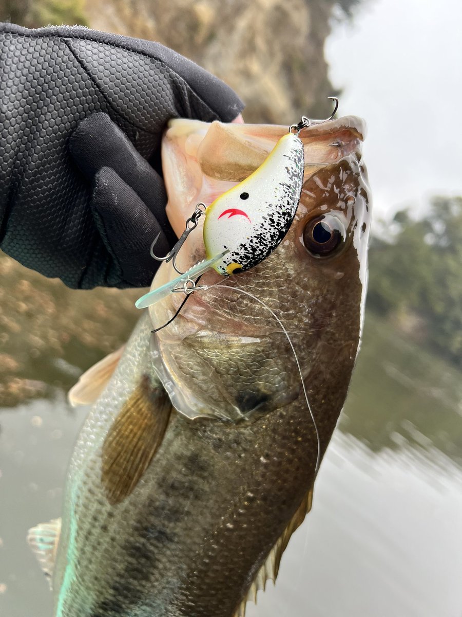 Ryo Sakurai【MPB LURES】【GRAVEL】 (@mpb_lures) / Posts / X