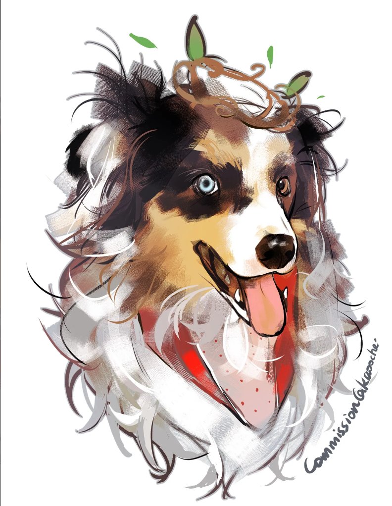 ⭐ Pet Portrait Showcase!🥰 A perfect mix of cute and cool — this
