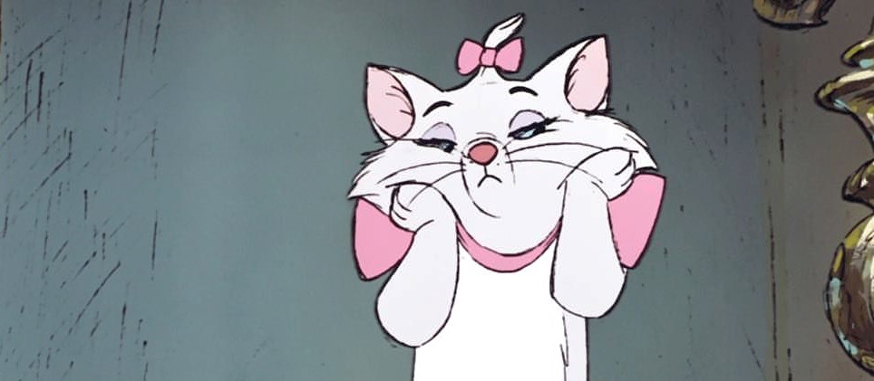 🐈🎀